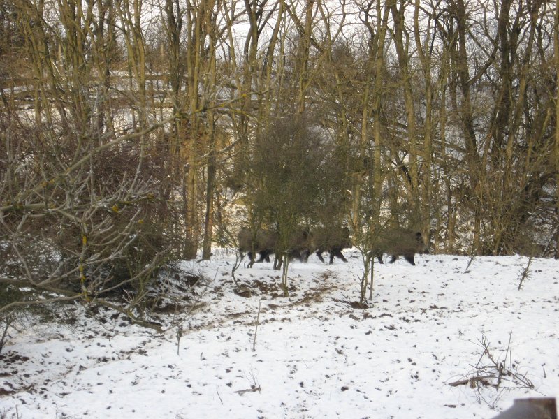 Polovnicke zdruzenie-Lipie   126.jpg